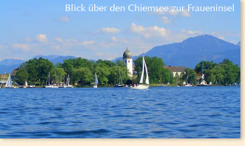 Biathlon Weltcup 2012
